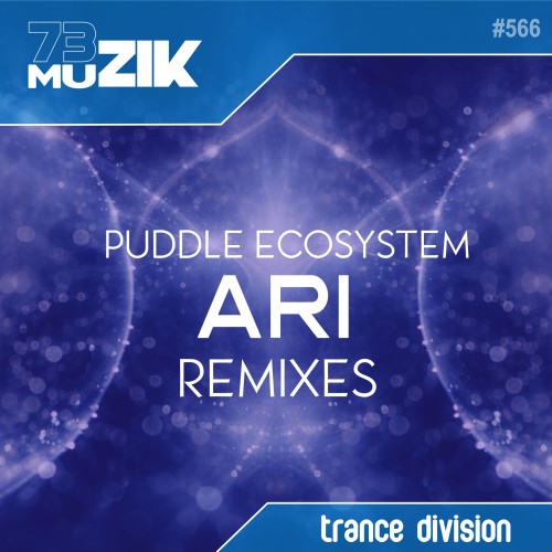 00-puddle-ecosystem-ari-remixes-73m566-web-2026-falcon.jpg
