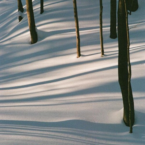 Isabel-Pine-Fables-24BIT-WEB-FLAC-2026-ENRi-CH.jpg