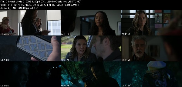 333745093_criminal-minds-s16e09-1080p-hevc-x265-megusta.jpg