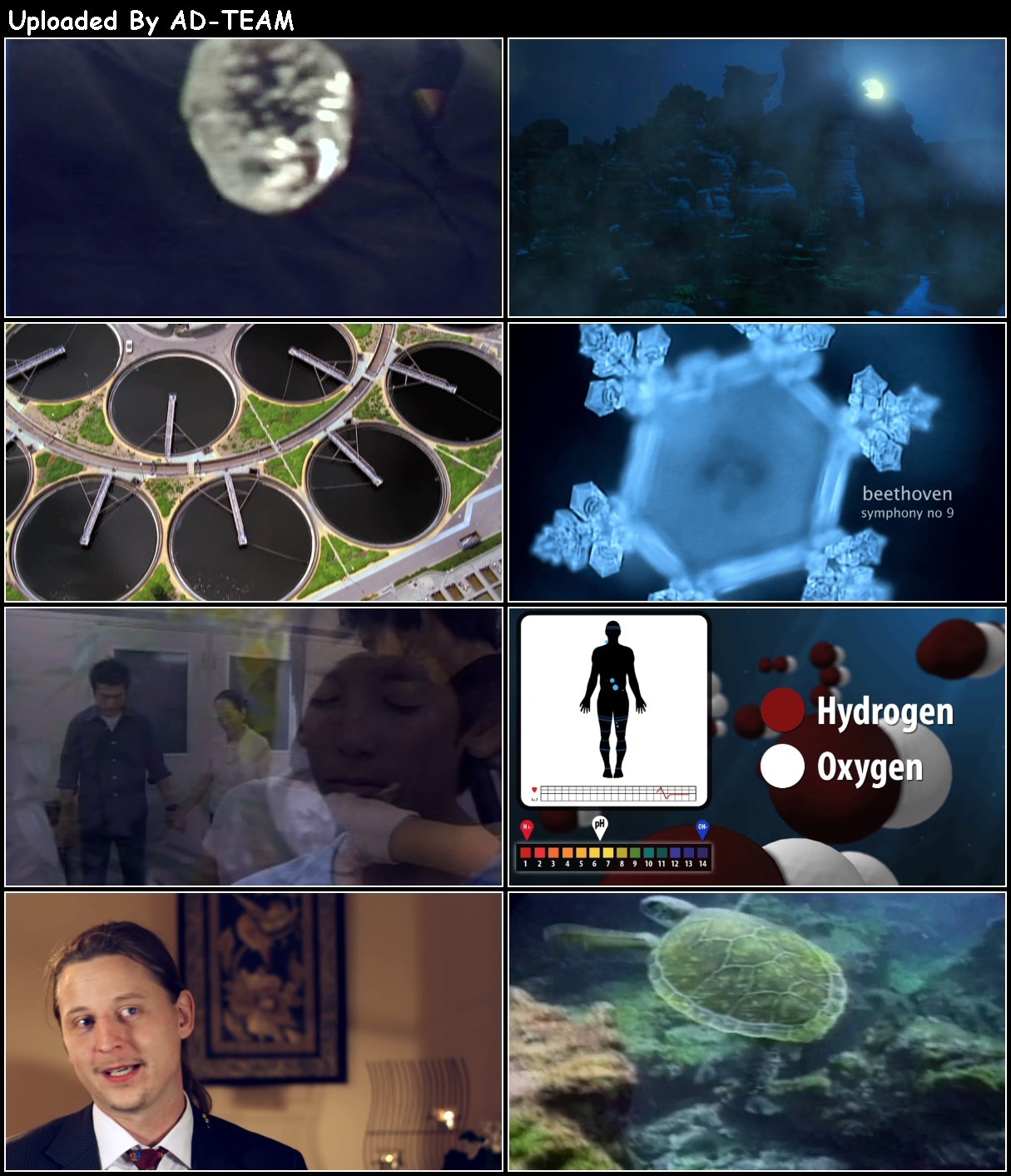TmfC1Y8c_o.jpg