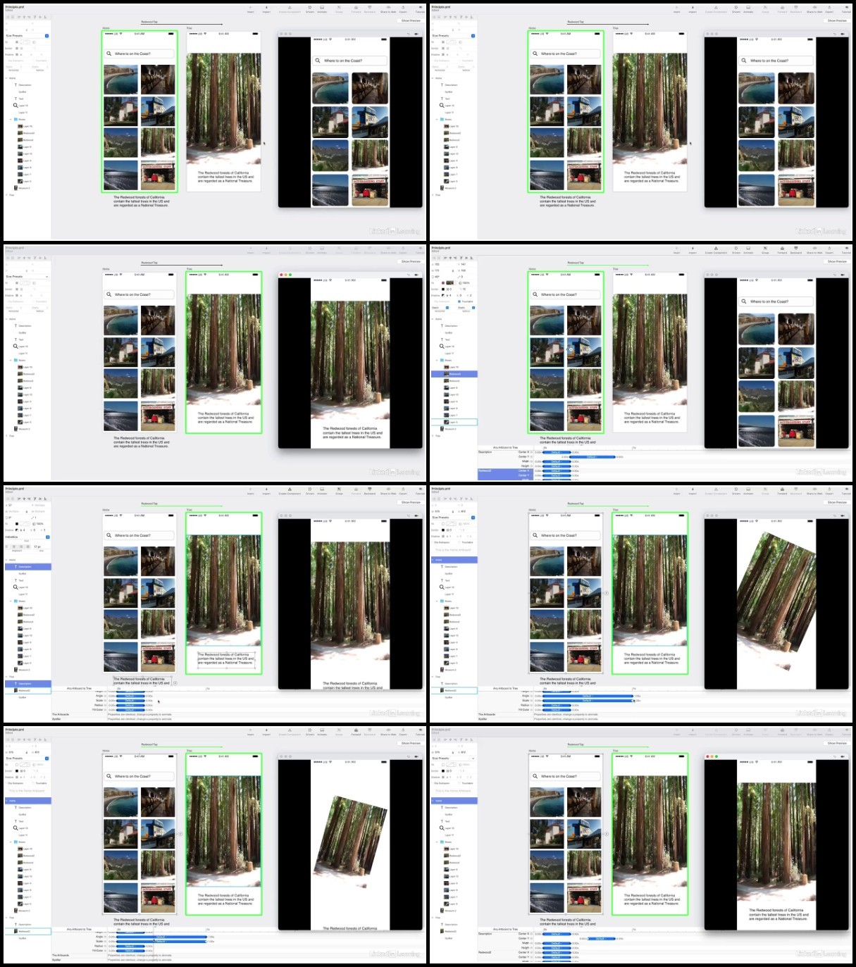 SXy3D4qV_o.jpg