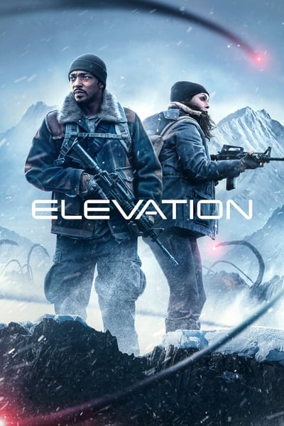 546612578_elevation-2024-german-ac3-webrip-x265-ldo.jpg