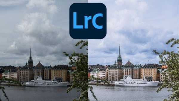 bmrc.png