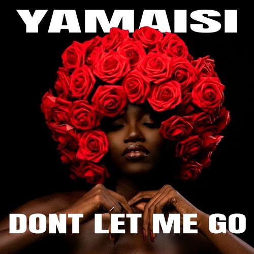 00-yamaisi-dont-let-me-go-amr073-single-web-2026-pic-zzzz.jpg