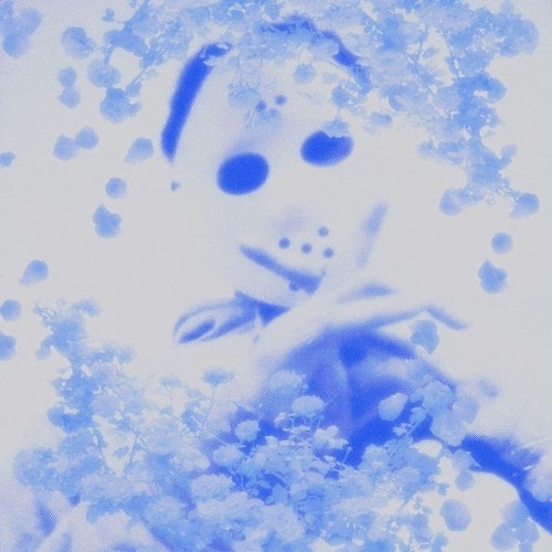 WXgJcGrd_o.jpg