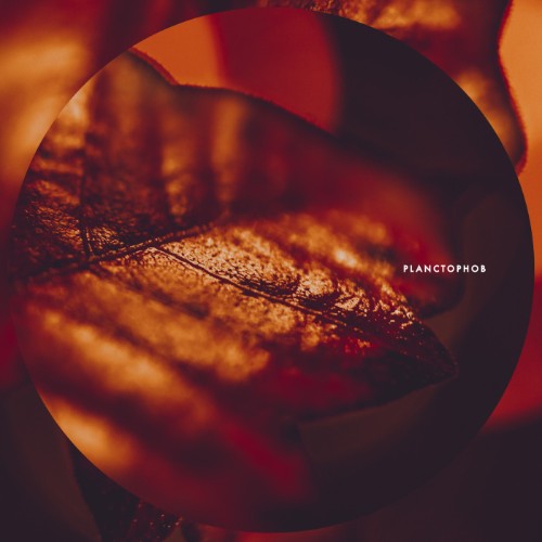 00-planctophob-fossil-cir178-web-2026-cover.jpg
