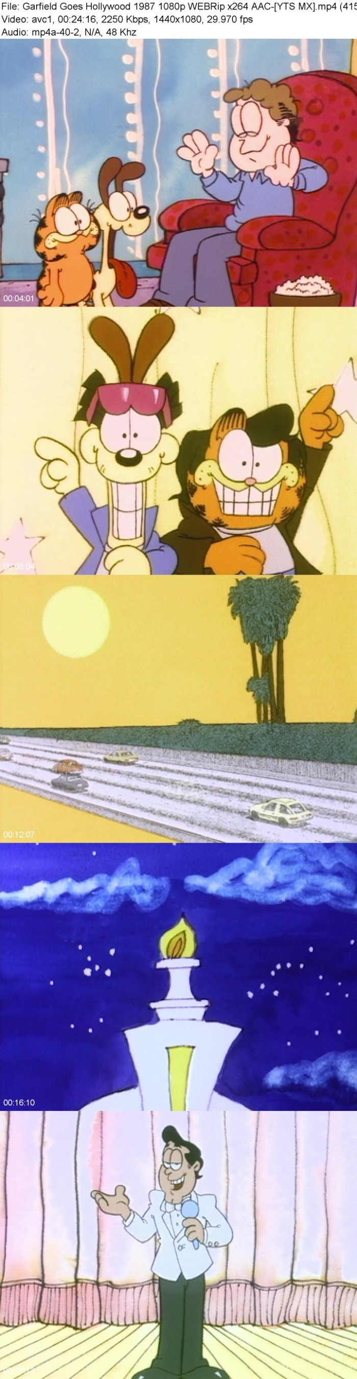 yNeXUjFX_o.jpg