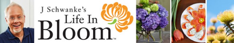 358905072_to13bd74advj.jpg