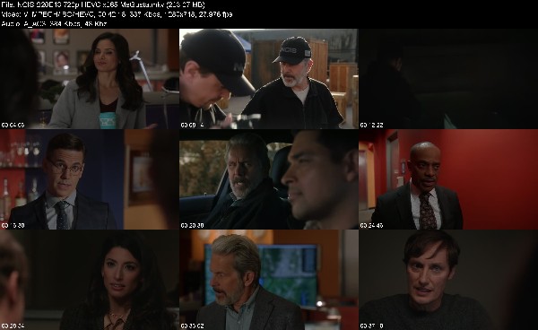 334609998_ncis-s20e13-720p-hevc-x265-megusta.jpg