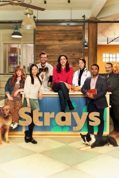 319253551_strays-s02e10-1080p-hevc-x265-megusta.jpg
