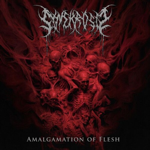 Synekrosis-Amalgamation-Of-Flesh-24BIT-WEB-FLAC-2026-VEXED.jpg