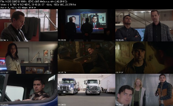 331954300_ncis-s20e12-1080p-hevc-x265-megusta.jpg