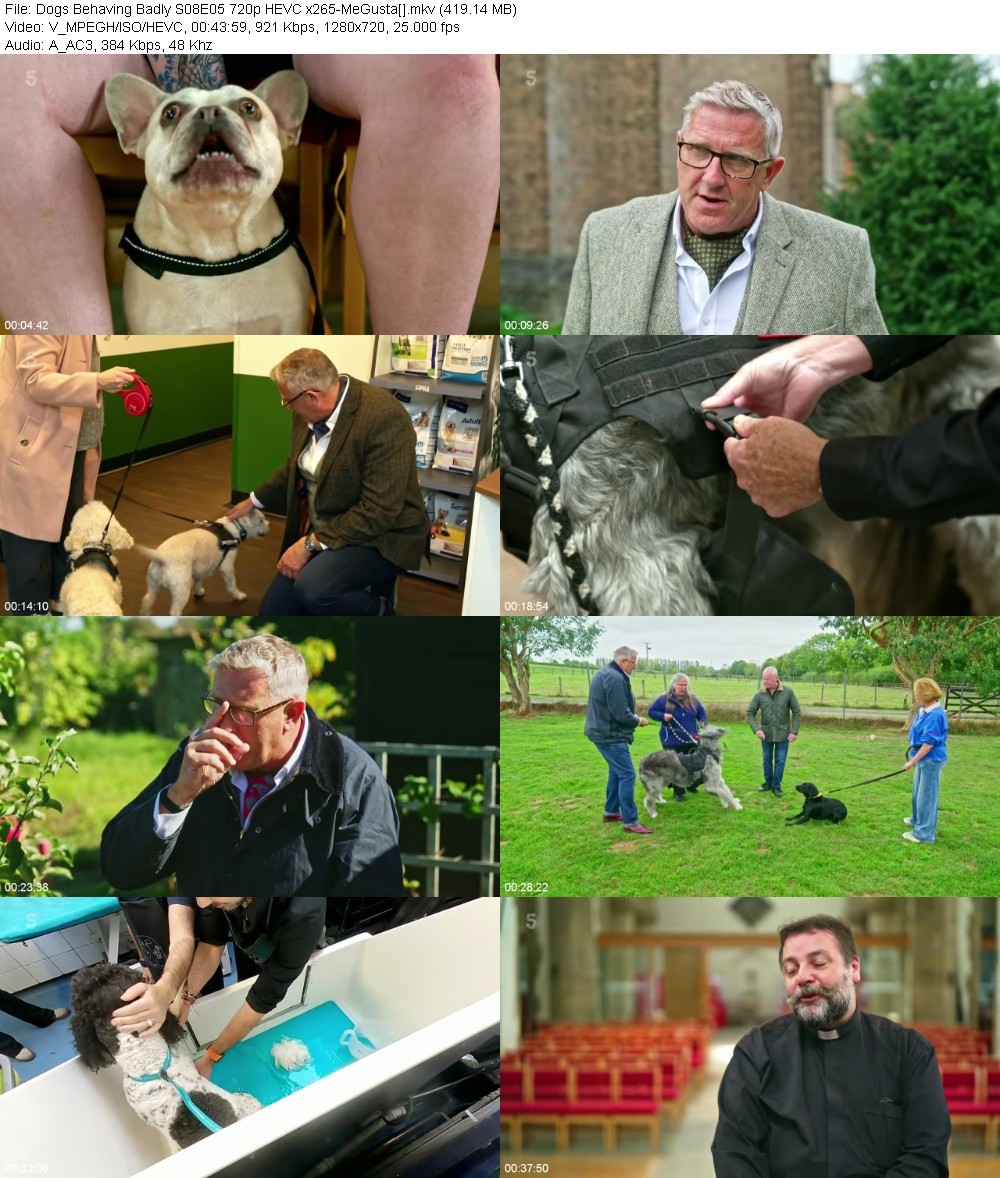 MCzJkObJ_o.jpg