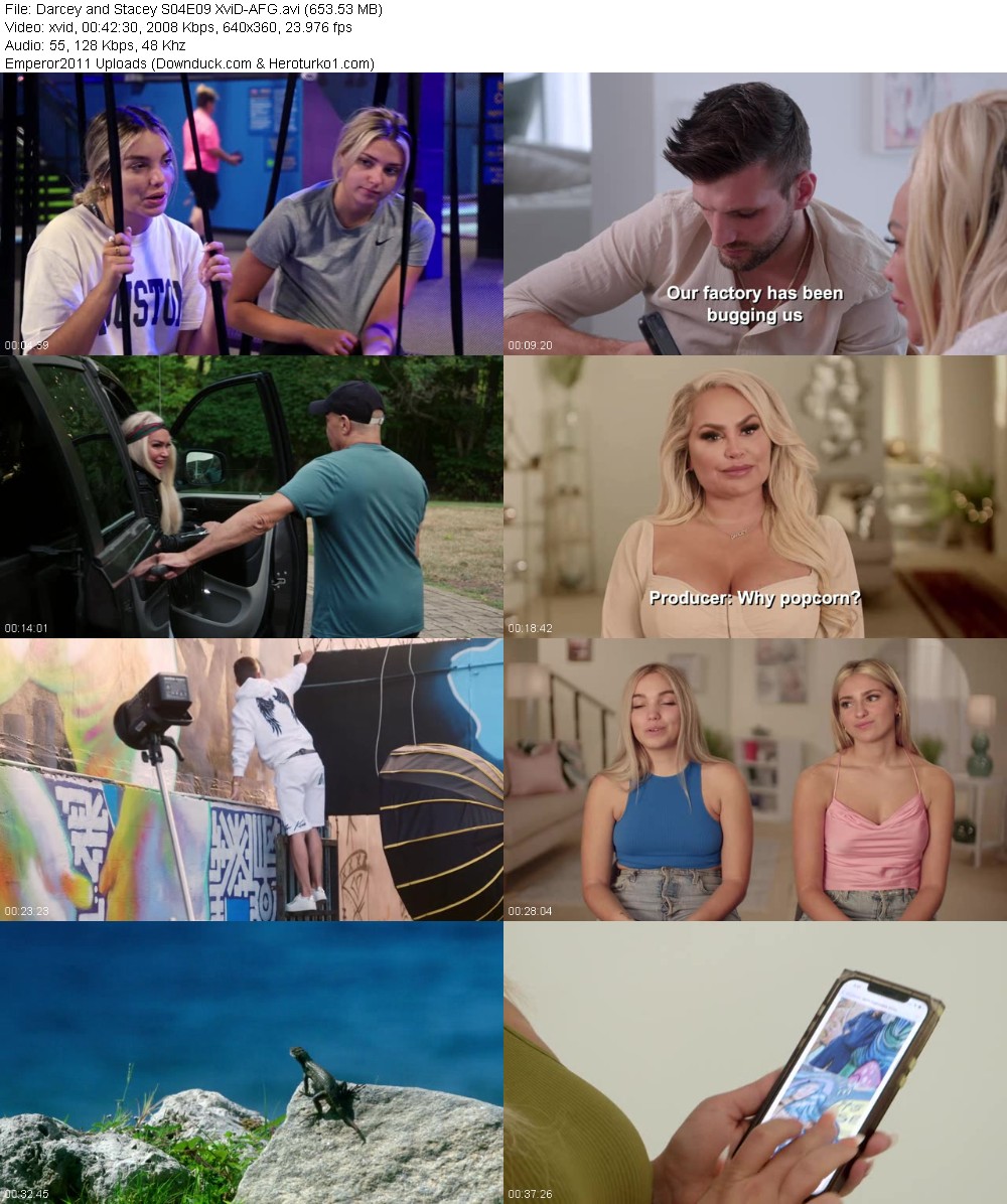 342938147_jkxp533ymgd4.jpg