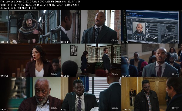 333892775_law-and-order-s22e13-720p-hevc-x265-megusta.jpg