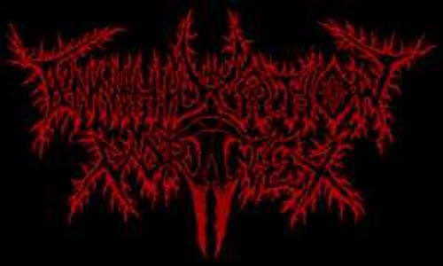 Annihilation-Vortex-Disgrace-Is-My-Name-16BIT-WEB-FLAC-2025-VEXED.jpg