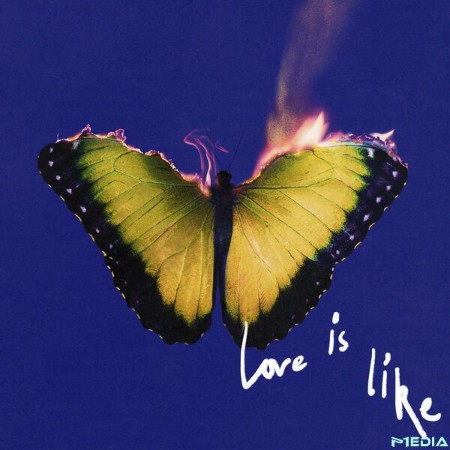 Maroon-5-Love-Is-Like-2025-24-Bit-48k-Hz-FLAC-PMEDIA.jpg