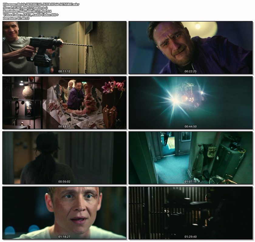 Brick-2025-DUAL-WEB-H264-SCNSRC-mkv.jpg