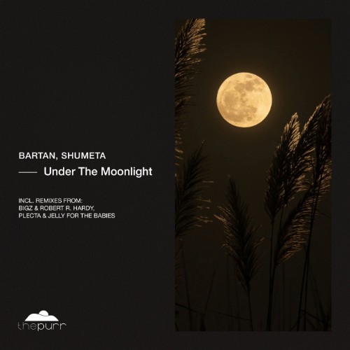 00-bartan-and-shumeta-under-the-moonlight-purr528-web-2026-cover.jpg