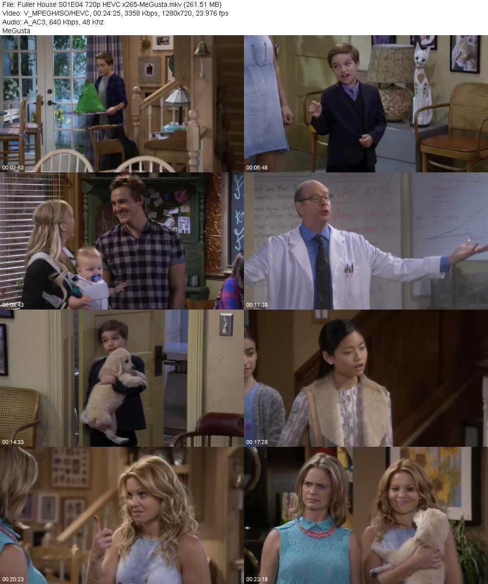 389125147_fuller-house-s01e04-720p-hevc-x265-megusta.jpg