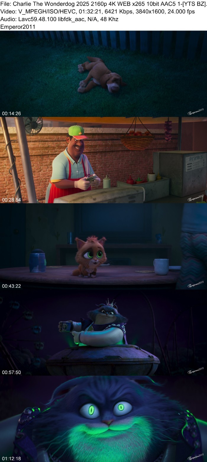 Rpivjcpr_o.jpg