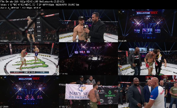 334308593_bellator-290-1080p-hevc-x265-megusta.jpg