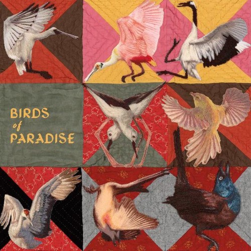 Thomas-Dollbaum-Birds-of-Paradise-WEB-2026-ENRi-CH.jpg