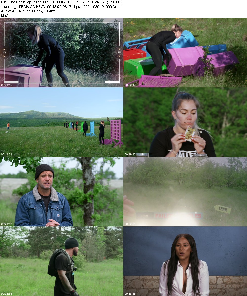 392290735_the-challenge-2022-s02e14-1080p-hevc-x265-megusta.jpg