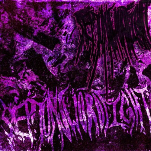 00-septumsw-ordfight-septumsw-ordfight-24bit-web-flac-2026.jpg