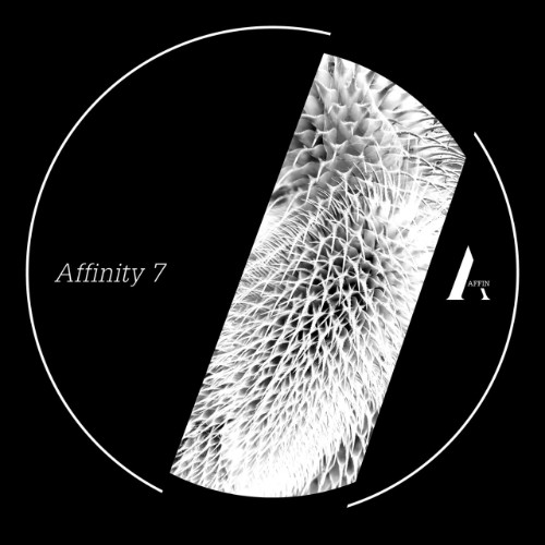 VA-Affinity-7-AFFINSERIAL09-WEB-2026-WAV.jpg