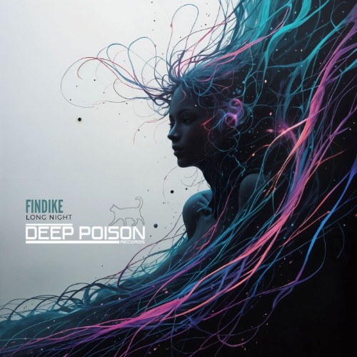 00-findike-long-night-dpr0010-single-web-2026-cover.jpg