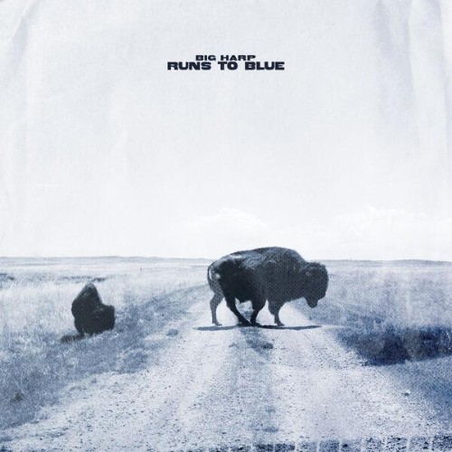 Big-Harp-Runs-to-Blue-WEB-2026-ENRi-CH.jpg