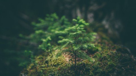 6980d417-763f-47c7-8770-b3d106153bc9.png