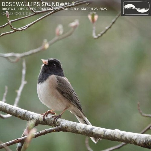 Chad-Crouch-Dosewallips-Soundwalk-24BIT-WEB-FLAC-2026-ENRi-CH.jpg