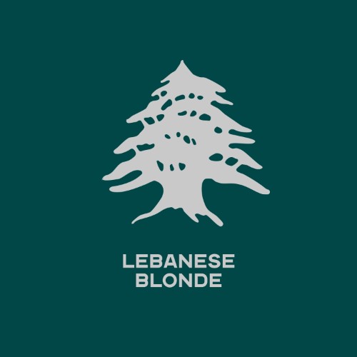 Kevin-Mckay-x-NOG-Lebanese-Blonde-GU1127-WEB-2026-BB.jpg