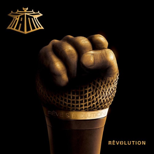 IAM-Revolution-2017.jpg