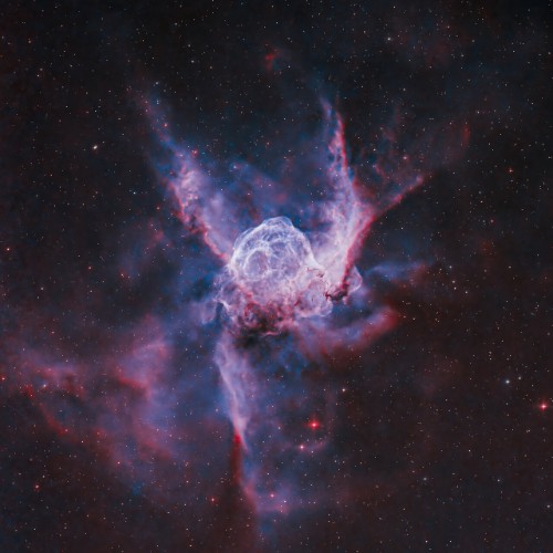 Pfirter-Black-Sun-EP-MT101-24BIT-WEB-FLAC-2026-WAVED.jpg