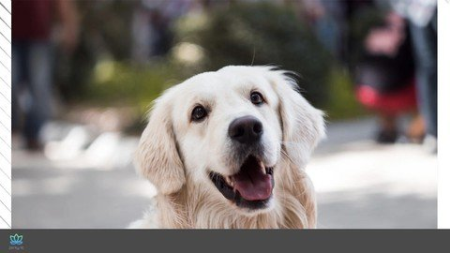 b16f84f6-1807-4835-a16e-538ef00ec3df.png