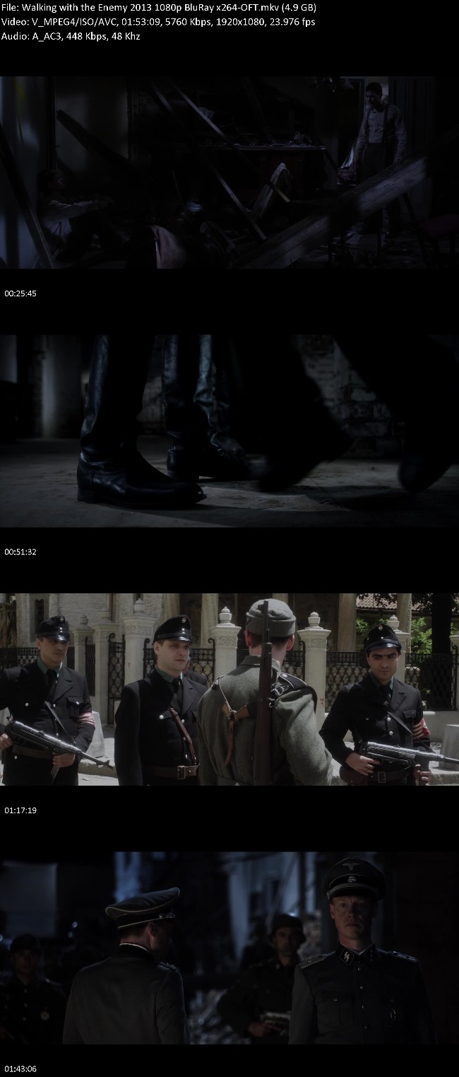362963497_walking-with-the-enemy-2013-1080p-bluray-x264-oft.jpg