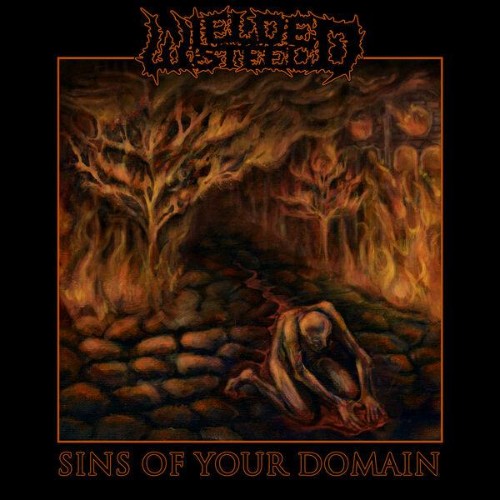 Wielded-Steel-Sins-Of-Your-Domain-WEB-2026-ENRi-CH.jpg