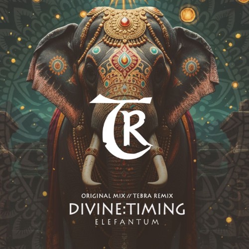 00-divinetiming-elefantum-tr699-web-2026-cover.jpg