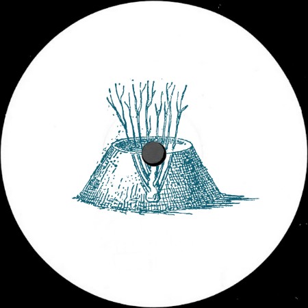 Shcuro-Echo-Chamber-PARAISO017-16-BIT-WEB-FLAC-2025-WAVED.jpg