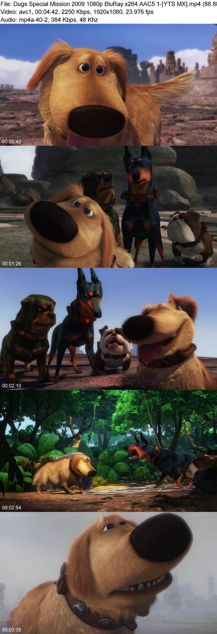 xq7g999v_o.jpg