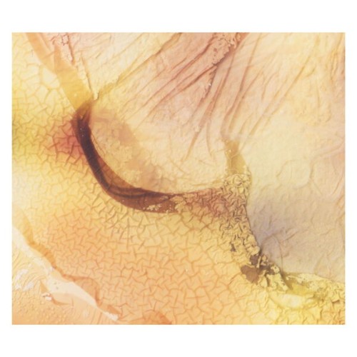 00-fields-we-found-thoughts-persist-qd48-24bit-web-flac-2026.jpg