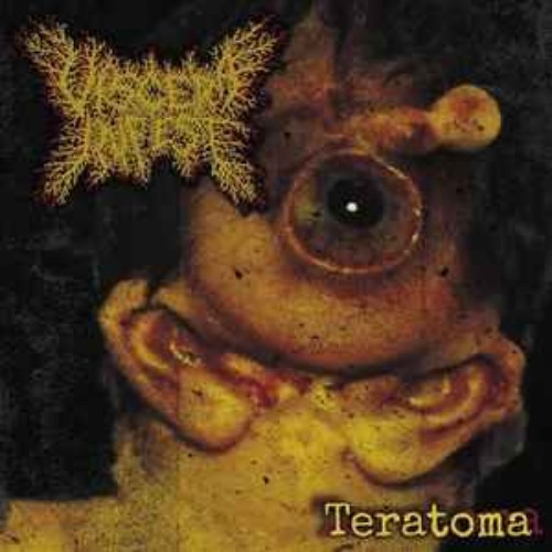 Teratoma-Teratoma-16BIT-WEB-FLAC-2025-VEXED.jpg