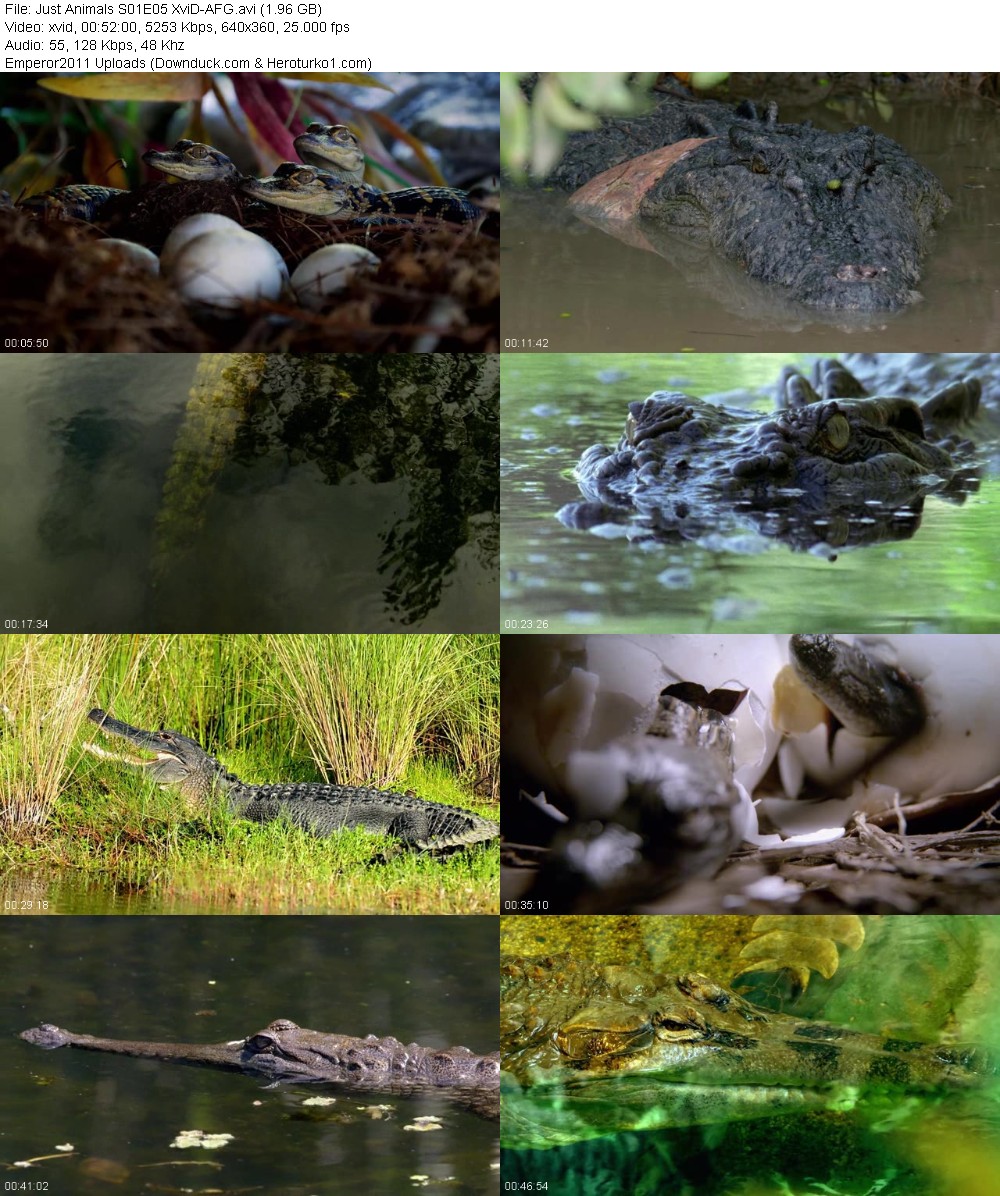 343749468_o6ctl19gmcq6.jpg