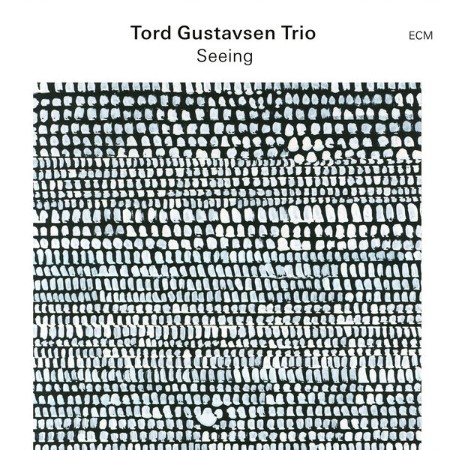 Tord-Gustavsen-Trio-Seeing-24-BIT-88-KHZ-WEB-FLAC-2024-OBZEN.jpg