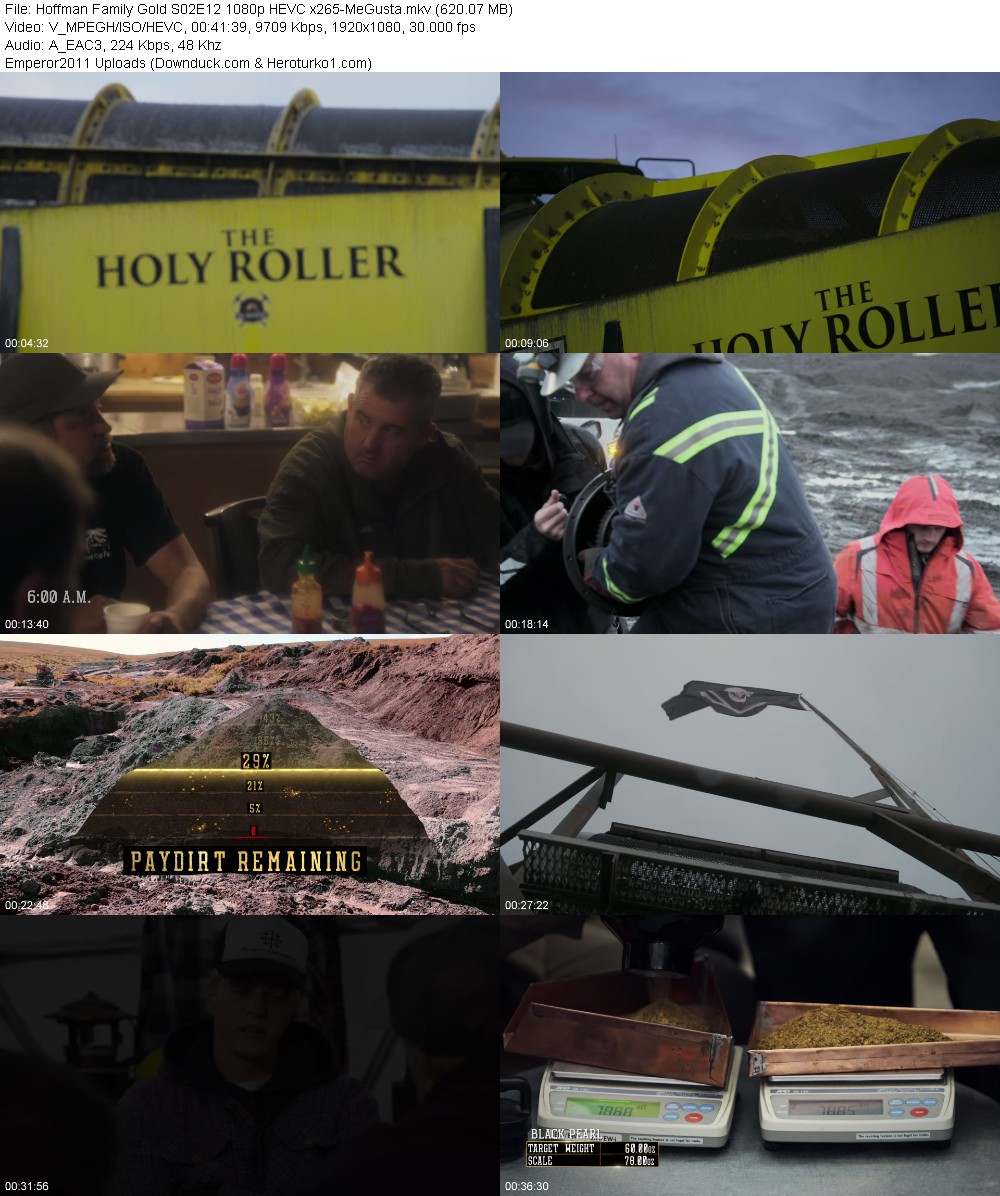 379677470_kqwh95t8r8sn.jpg