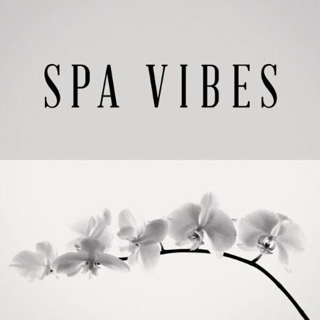 V-A-Spa-Vibes-2025-Pop-Flac-16-44.jpg