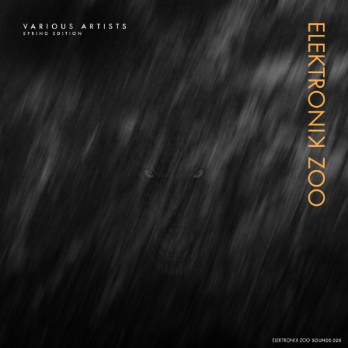 VA-Spring-Edition-EZOO020-WEB-2026-WAV.jpg